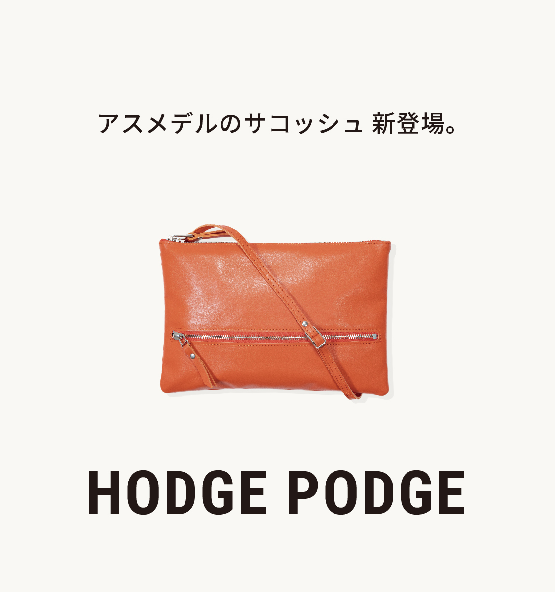 アスメデルのサコッシュ、新登場。